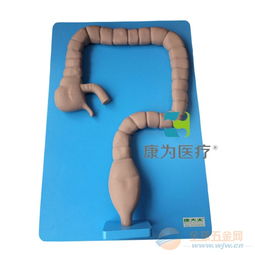 康為醫(yī)療乙狀結(jié)腸鏡檢查模型 開啟下消化道內(nèi)窺鏡實訓(xùn)新紀(jì)元